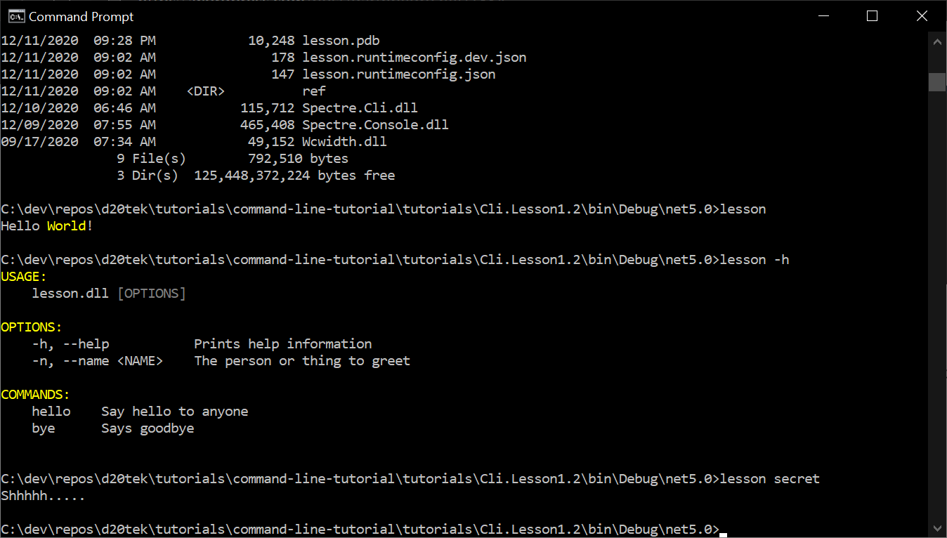 ConsoleApp using hidden command